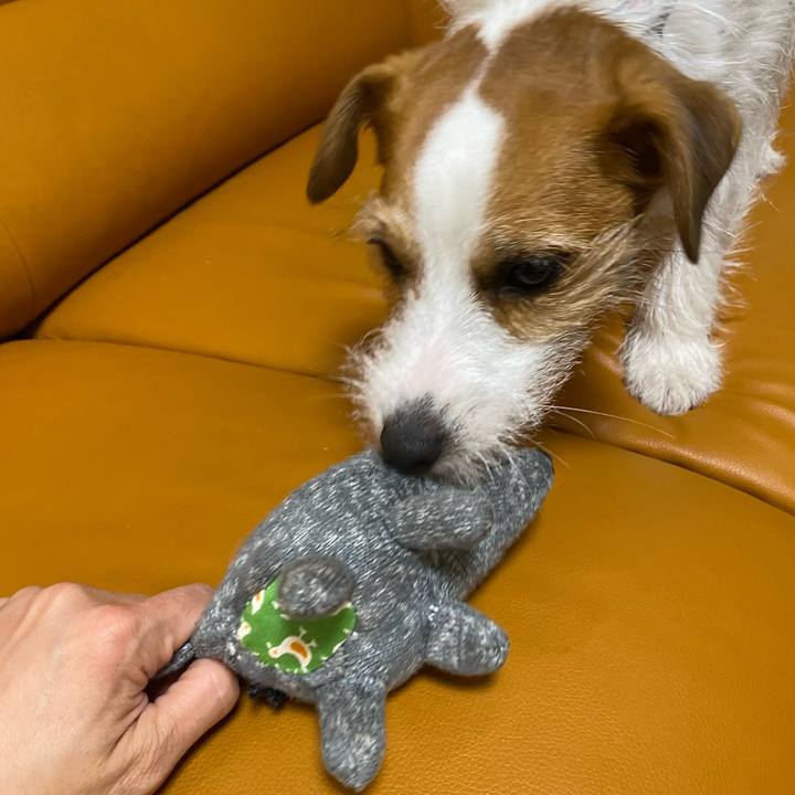 Dc896045 7e46 411b 8125 be43f4ee22a8 1683456994533