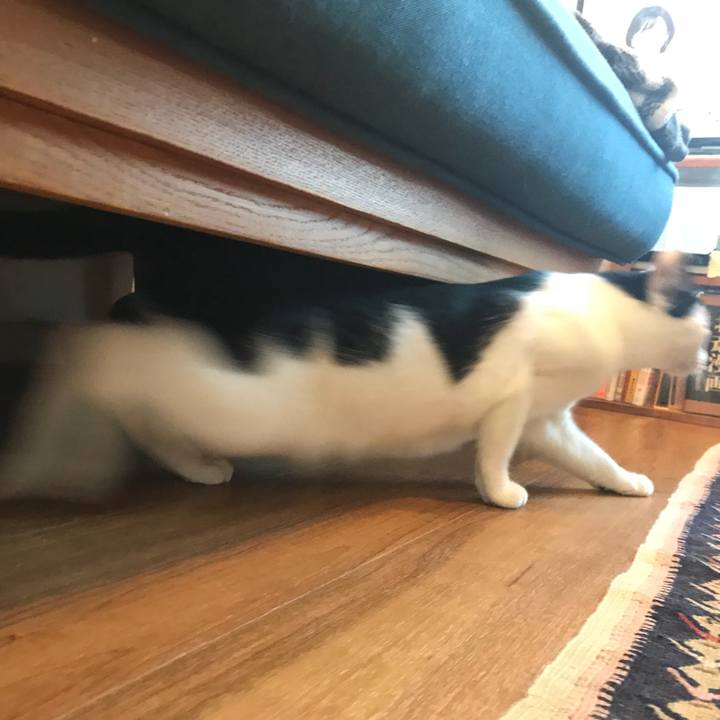 Dc8960de 4513 462d 9036 c20a18db1c02 1530667505149