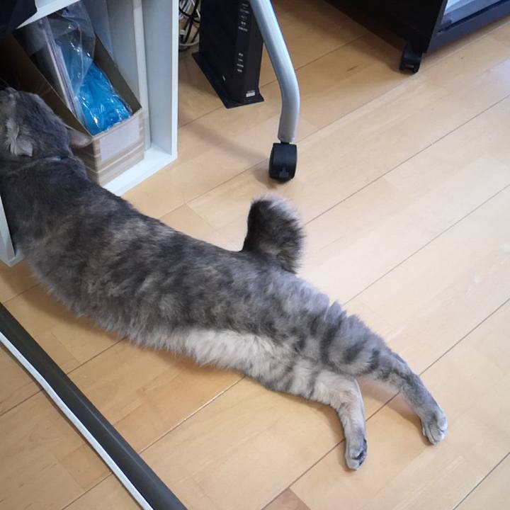 Dc897f9b 50df 41f6 83c3 2cadeaa0b201 1588062010294