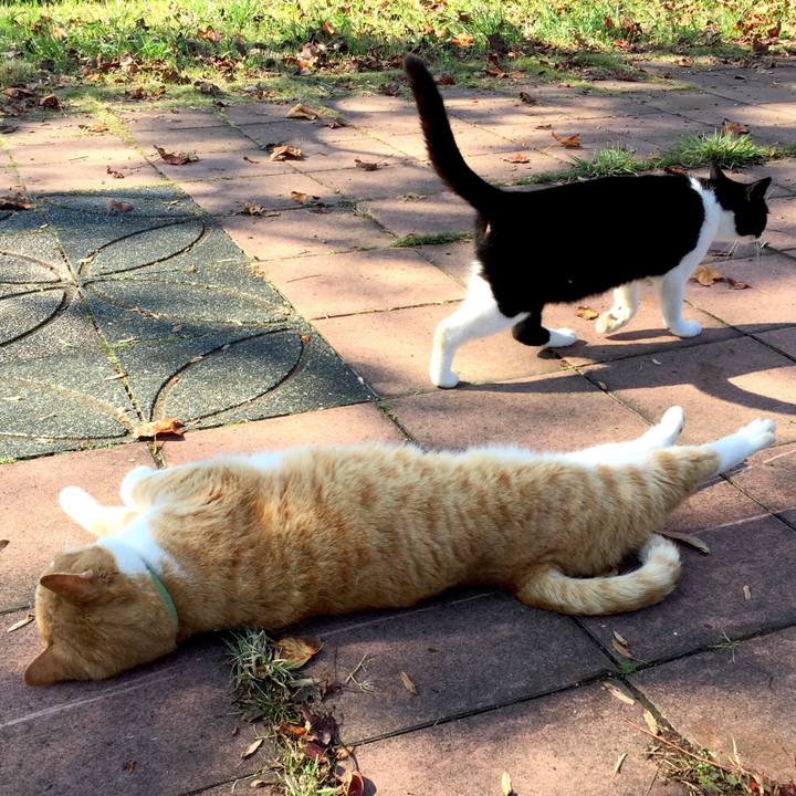 Dc89ab2c 7989 4814 9193 9603f8244944 1541853573819