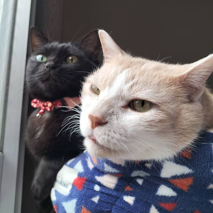 Dc89c7d3 76b8 43d8 802e f59f86339eea 1633994187546