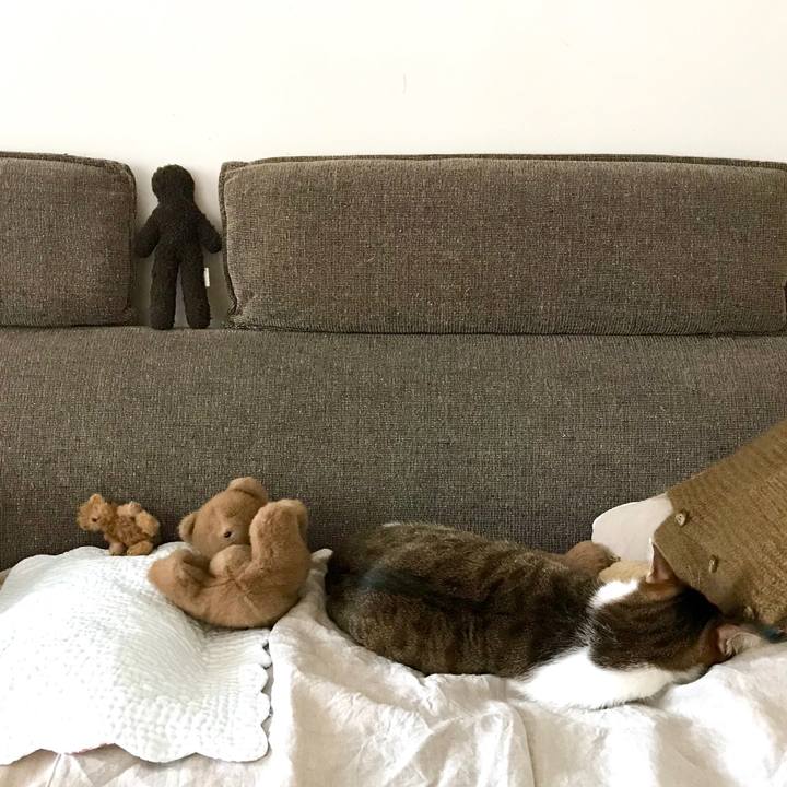 Dc8a21c6 9534 4c6f 8133 33f4026aa978 1520227035907