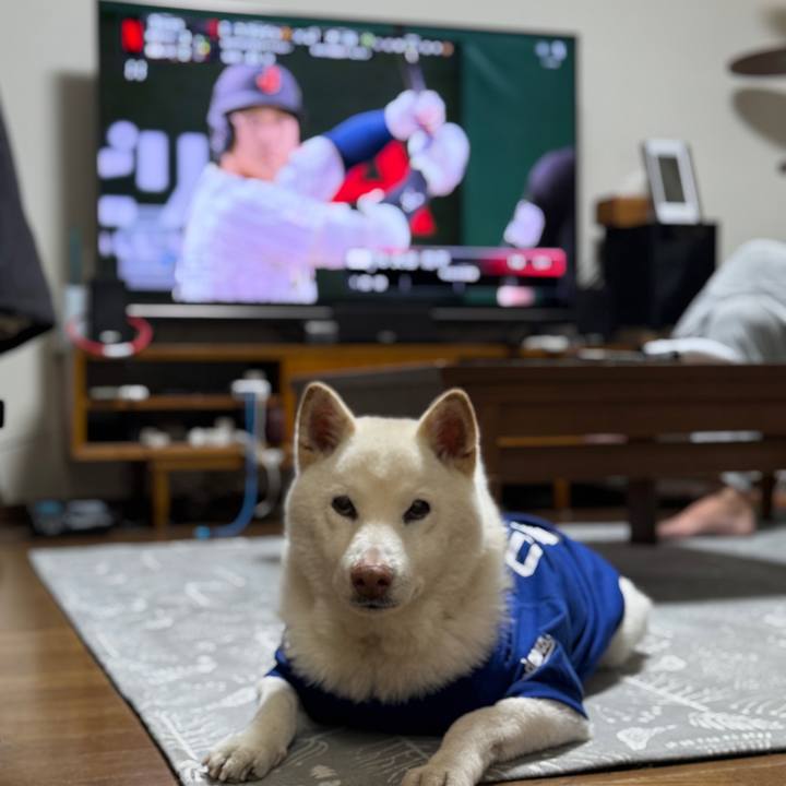 Dc8a4700 d017 4497 b0df 5cd5b3932e62 1772881695067