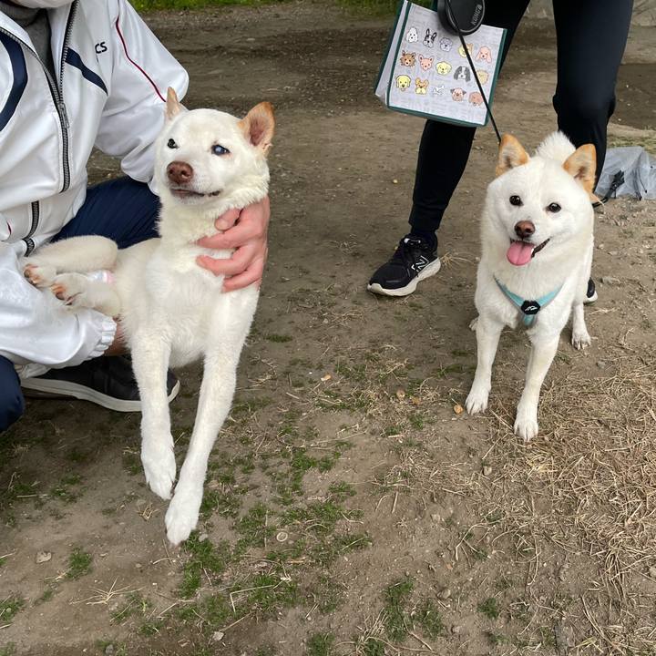 Dc8a4800 ddec 4dbd b7af e3b8dc5d3dae 1675765201214