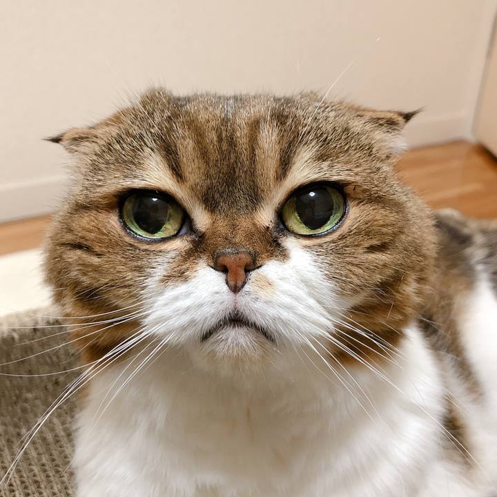 Dc8ac8ec 46fc 4adf 91ec efc2b6108f45 1599328863991