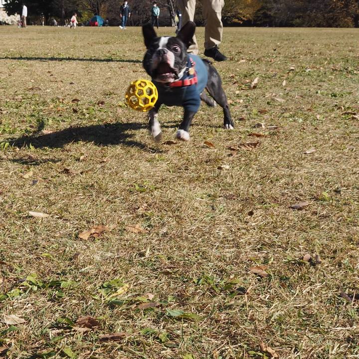 Dc8affde 3de2 4b0d 98d0 ad3f706c1c85 1605340722941