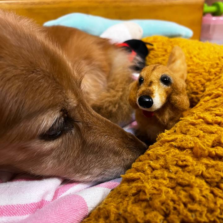 Dc8b3fae b984 42cd ae9f 1c2c09d745c3 1667650907660