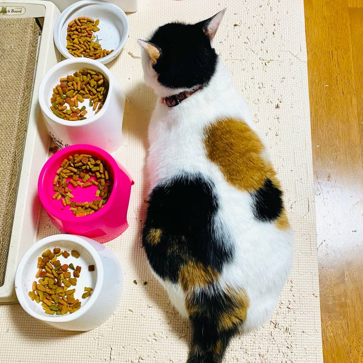 Dc8b4d1a d144 4280 ab9d 2c0f0405f587 1694553387432