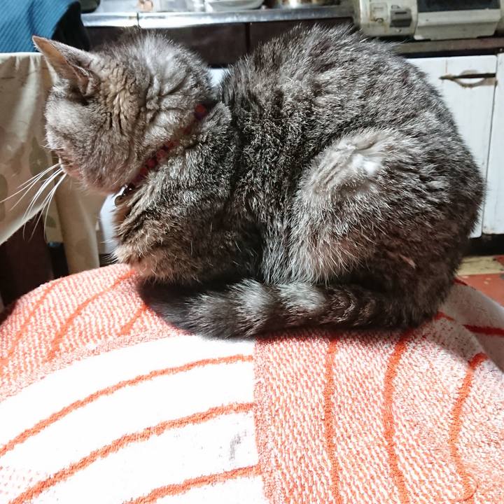 Dc8b526b d4e2 4a2a 9618 97d07a16fbf3 1584479054277