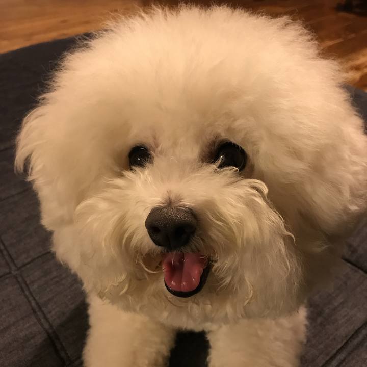 Dc8b6721 1131 43e7 9543 dc15f49d49f2 1529667645933