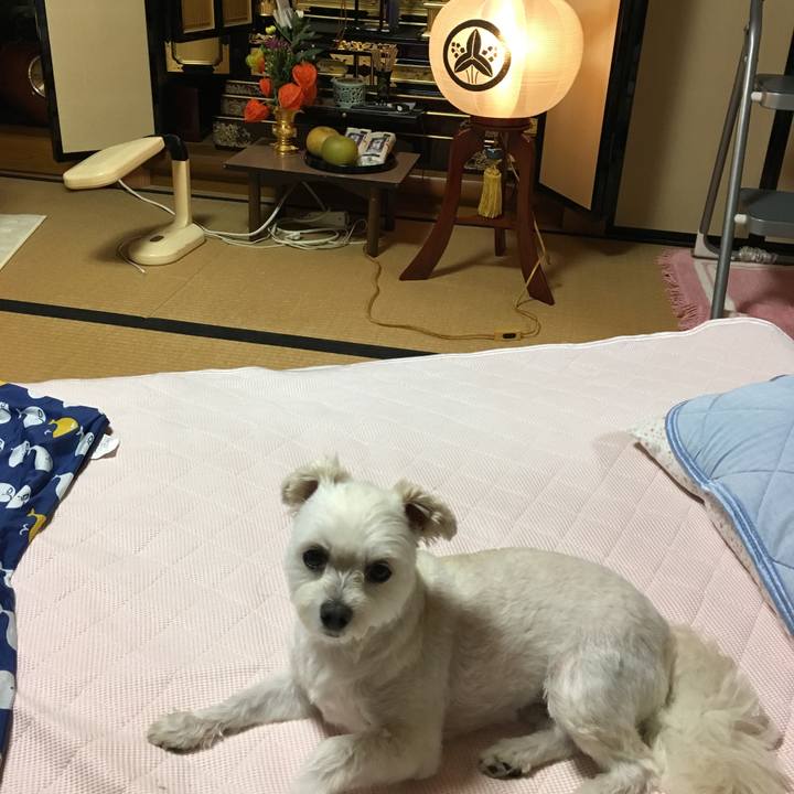 Dc8b7726 91a0 4969 b436 0f858bcd81e7 1534244301821