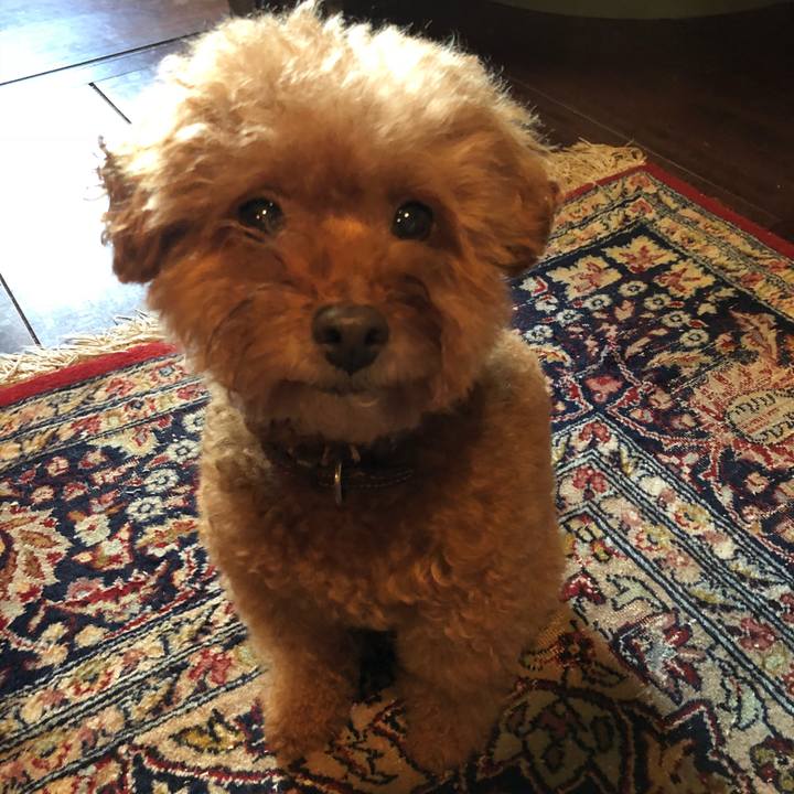 Dc8b7b8b 1aec 47a8 be14 ed96fb6800d6 1549427754032