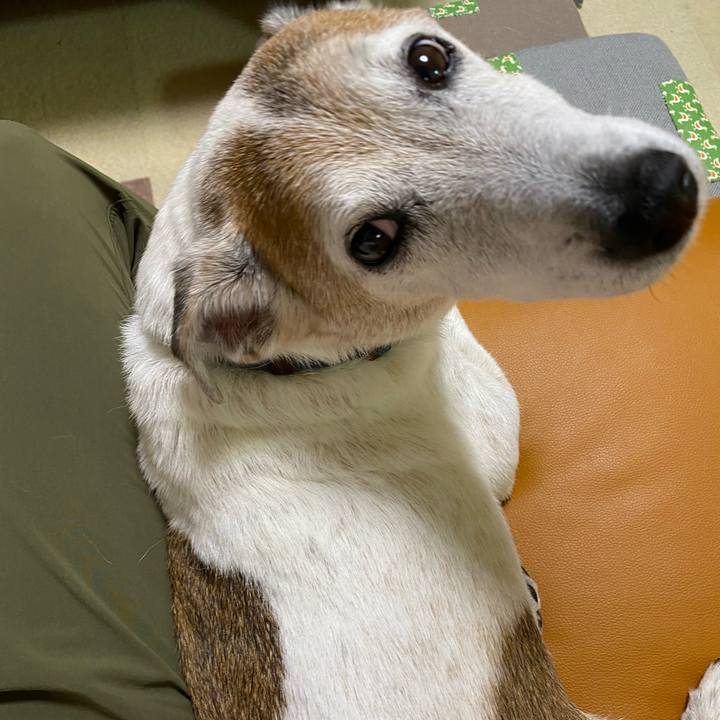 Dc8baf1e bd9e 4bfd b149 3c84d40e6674 1628931414193