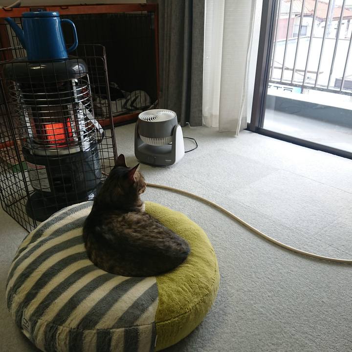 Dc8bf6e6 b594 45d9 8017 0708d035b5ea 1575175834505