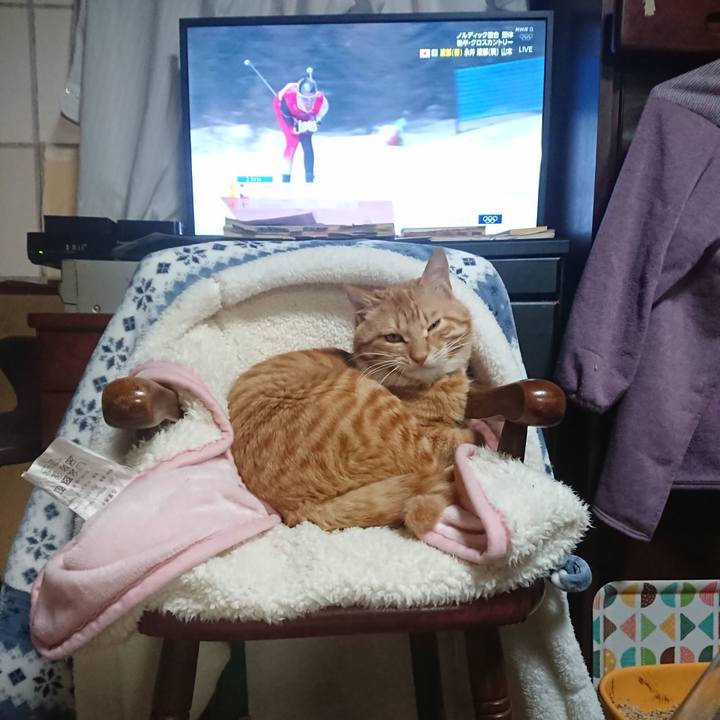 Dc8c52cc 99ab 4ba2 b5d1 07162fe4c8e3 1645098767511