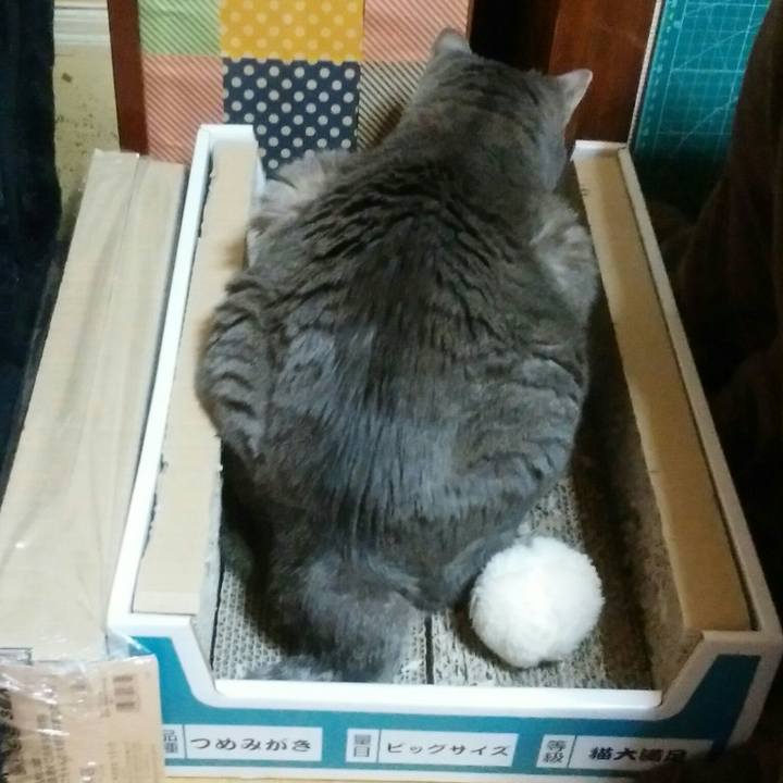 Dc8c98cd 342e 42a4 b60c ced13c931cd9 1581913830360