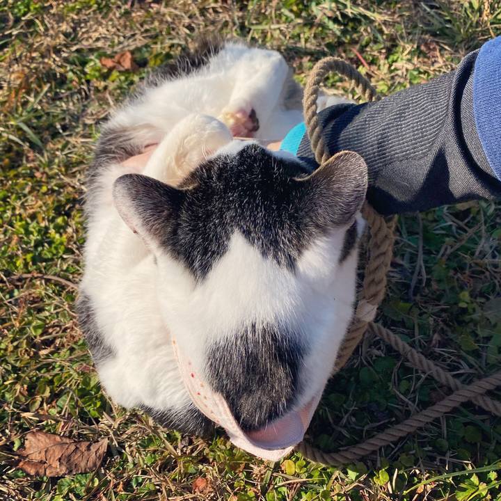 Dc8c9e38 9440 4df5 b952 e4ccbd7dc2d8 1638589835066