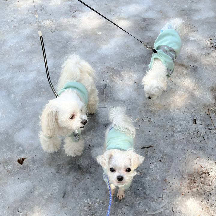 Dc8ca92b ccdb 4e5d 9ab2 77cd557387cd 1678704833271