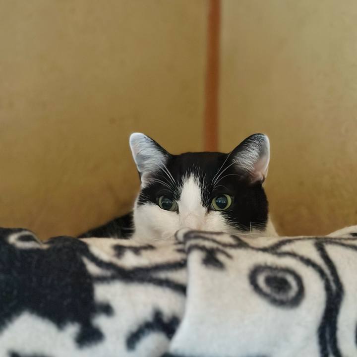 Dc8cbb72 edfc 4591 a1d8 4e207553c8c1 1712462000089