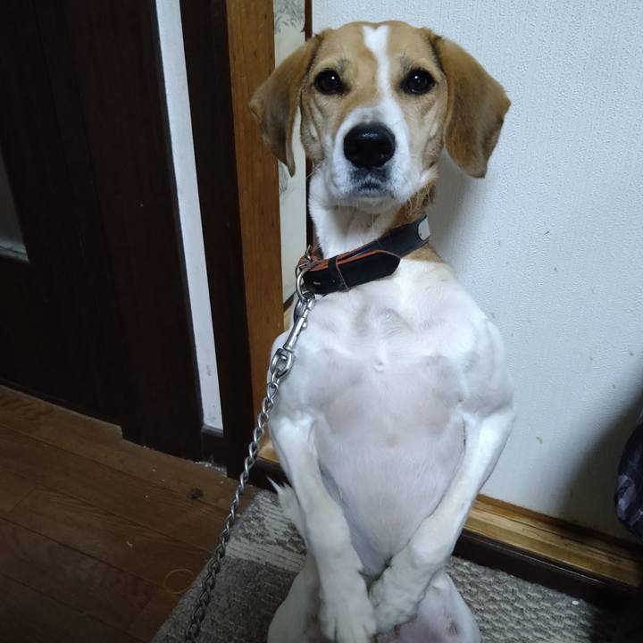 Dc8cc087 ef70 4173 adb7 0523d2fadd03 1637637385782