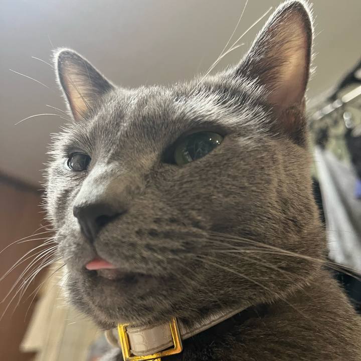 Dc8cdf7b dba2 47c8 87f4 da3edb02f21f 1690546728977