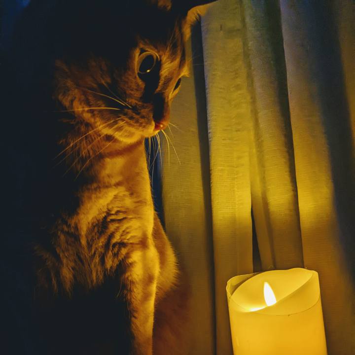 Dc8d099b 2a17 4145 bfe8 1d048b9a0176 1647734902703