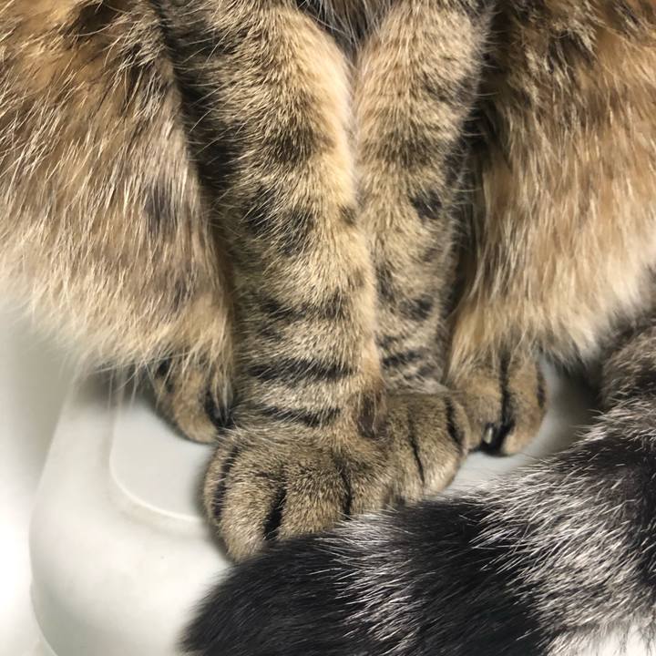 Dc8d1419 9410 4fb2 bf8d 7e11e04363ff 1556980847928