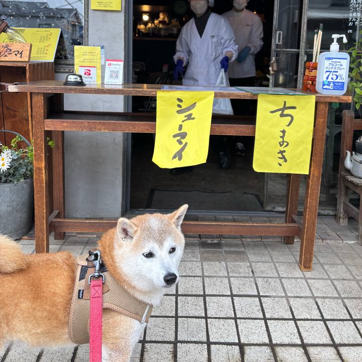 Dc8d3a30 9eb5 481a 8edb 4c307c240793 1742168264583