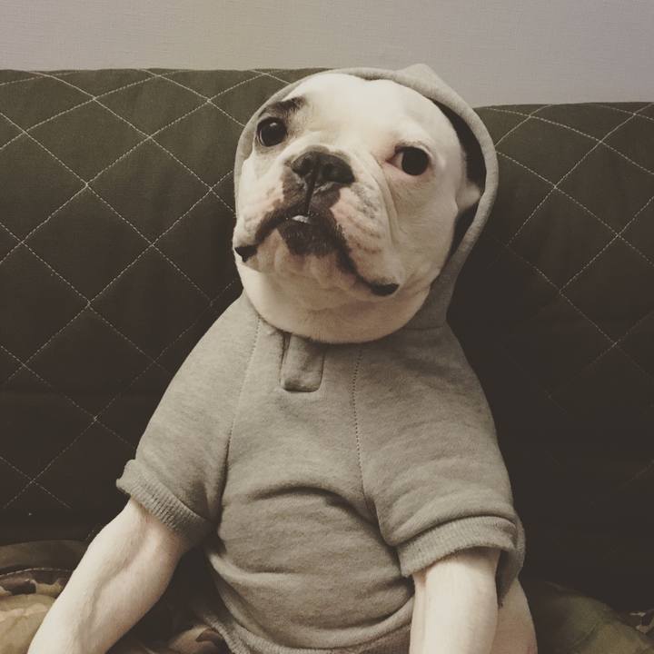 Dc8d4a71 6369 4346 92b1 855de3abe968 1508250669767