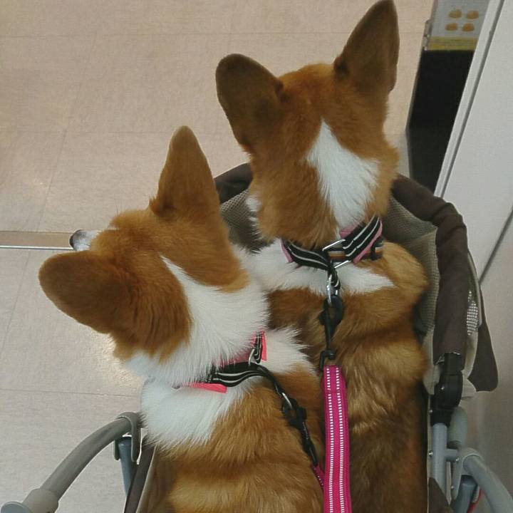 Dc8d4a76 a491 49a8 8cdd 681bcc7a835a 1507878653666