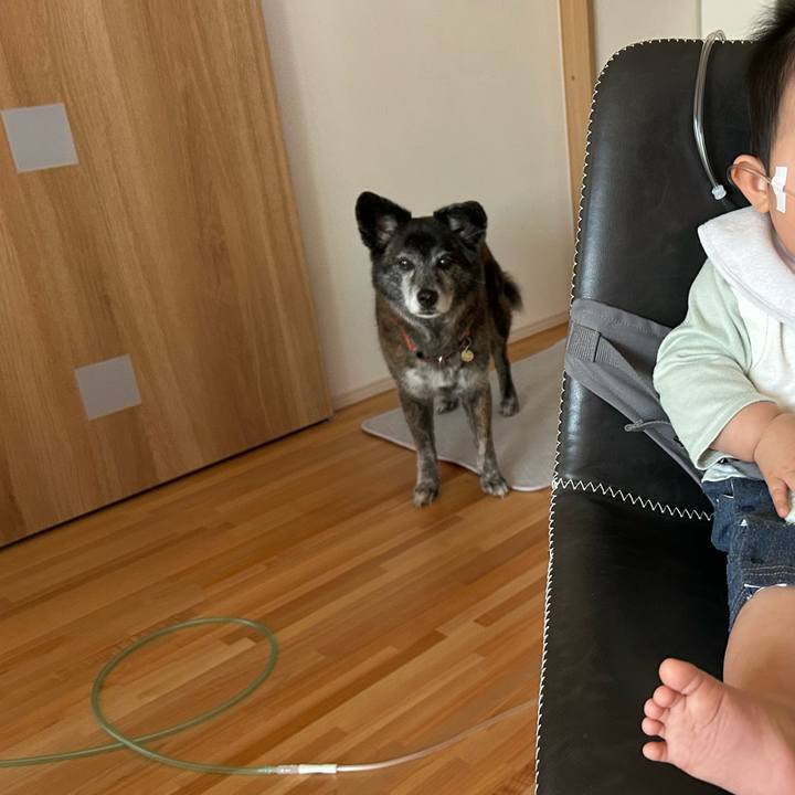 Dc8d89d1 d7eb 4d77 91a4 e93e612cdbe9 1718841363631