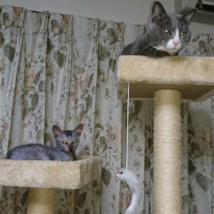 Dc8d8b1e e898 4197 bd32 a48e1e06ab54 1514979981878