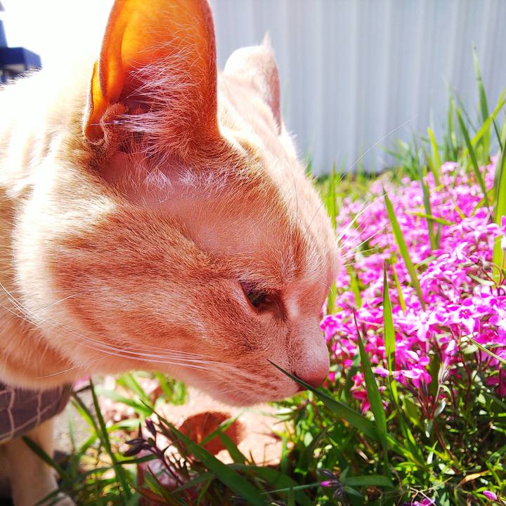 Dc8dc362 8d75 40f8 8c9c 279386c21797 1683951757753