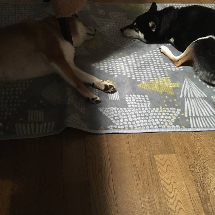 Dc8dc8d4 c9f8 4eb5 b7ed 0b247d163a69 1538654885051