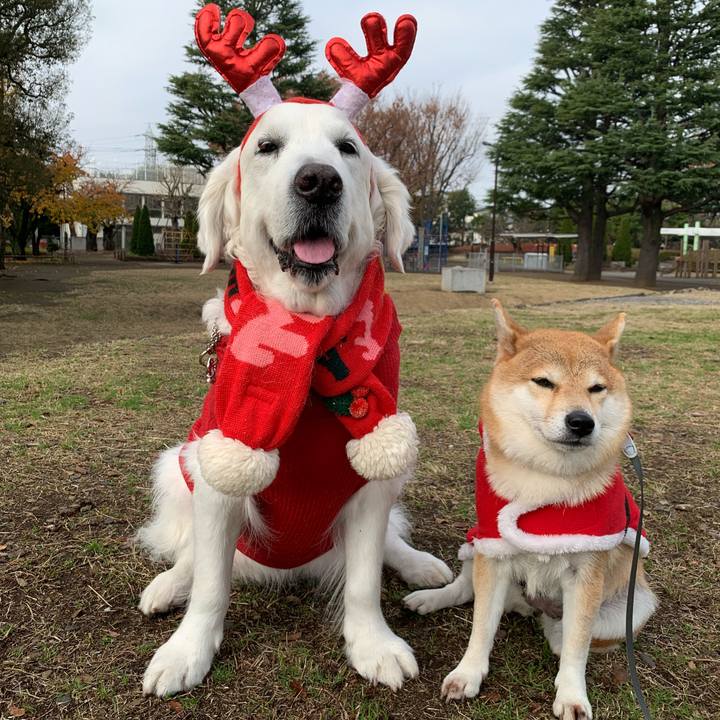 Dc8e1d22 3b3c 4815 9268 5c9559ede07d 1576922105702