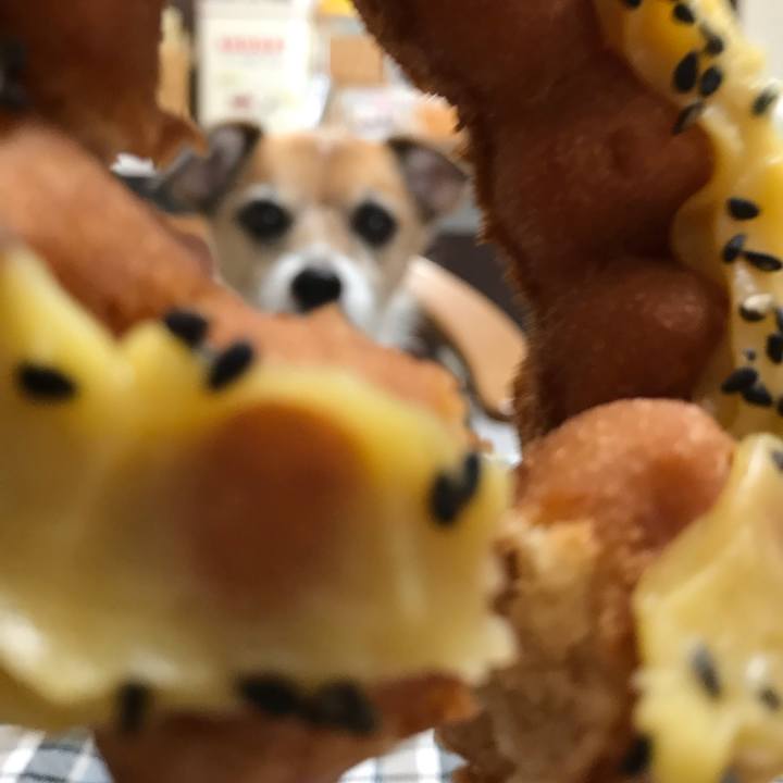 Dc8e4c8d d4bb 4610 85bf 27cf1c75b3ee 1568953842067