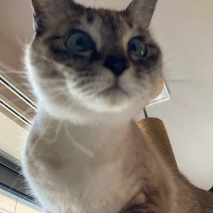 Dc8e5c0e 4760 4b71 9554 9a8b4575ce3e 1641084966947