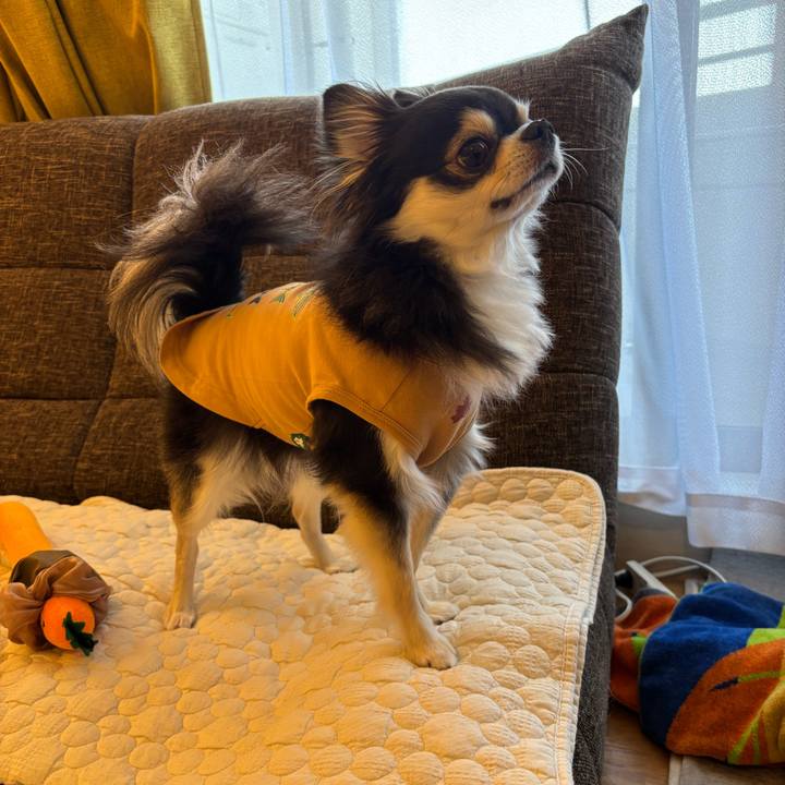 Dc8eb91b 04b7 4c51 8f44 685ce6dc9a4c 1742746885421