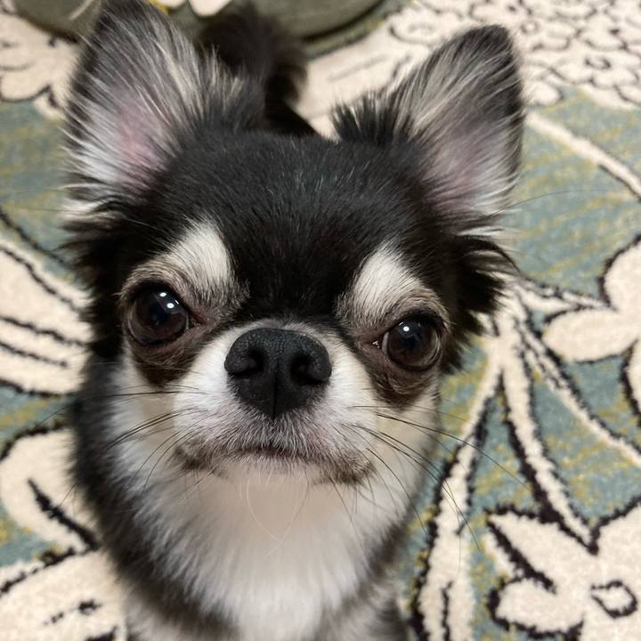 Dc8ee186 7288 48e0 9074 ca6b9c2c5aa8 1627047307986