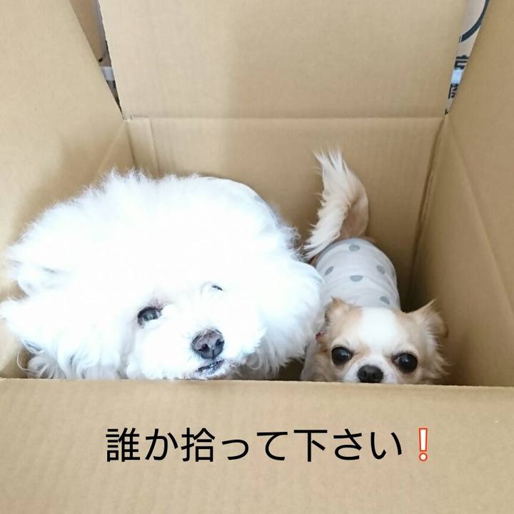 Dc8f3f5d 86ee 4f7d afdc 409ed89005e9 1522969886051