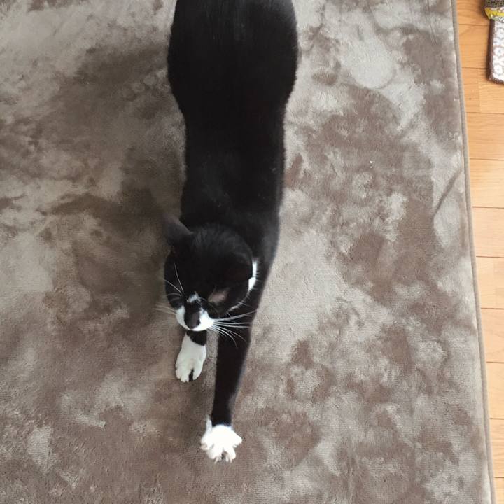 Dc8f4ee7 6765 4999 bce6 020279a65bf8 1761457059149