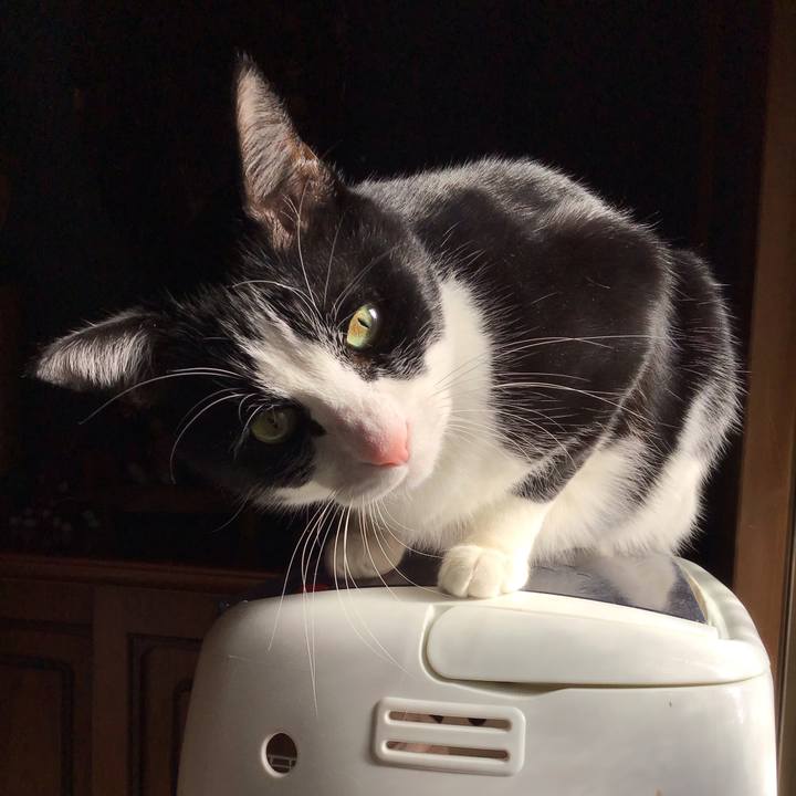 Dc8f7bb1 9dfa 4394 8ed3 6e0bfd6d3d10 1735363619221