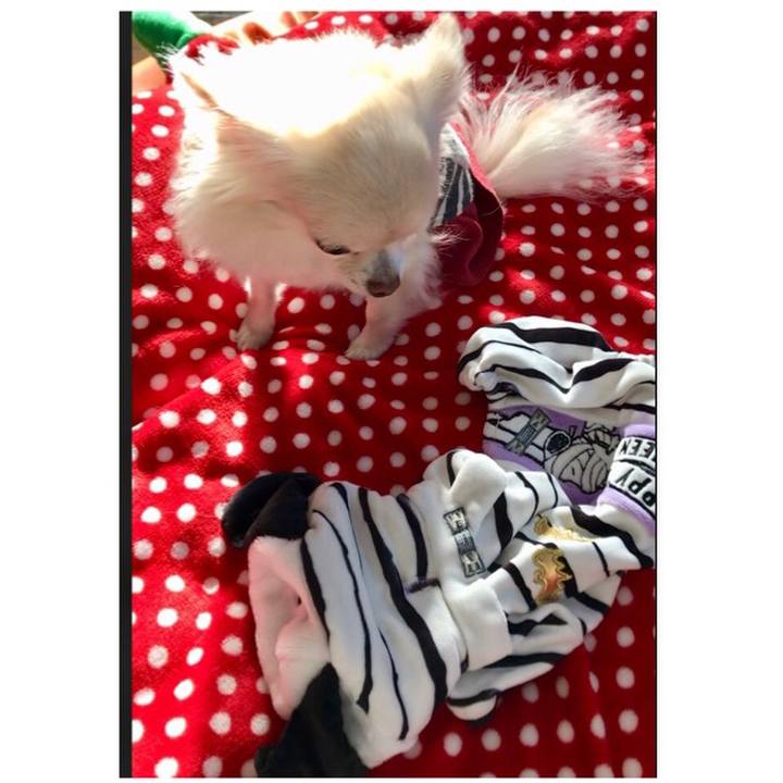 Dc8f8c41 7c60 4b64 9283 70ea7c821ac4 1509693433384