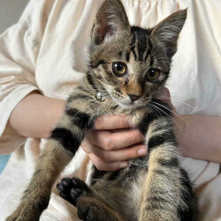 Dc8f8f57 5acd 4b6f 92c0 4ed968f06517 1727601482007