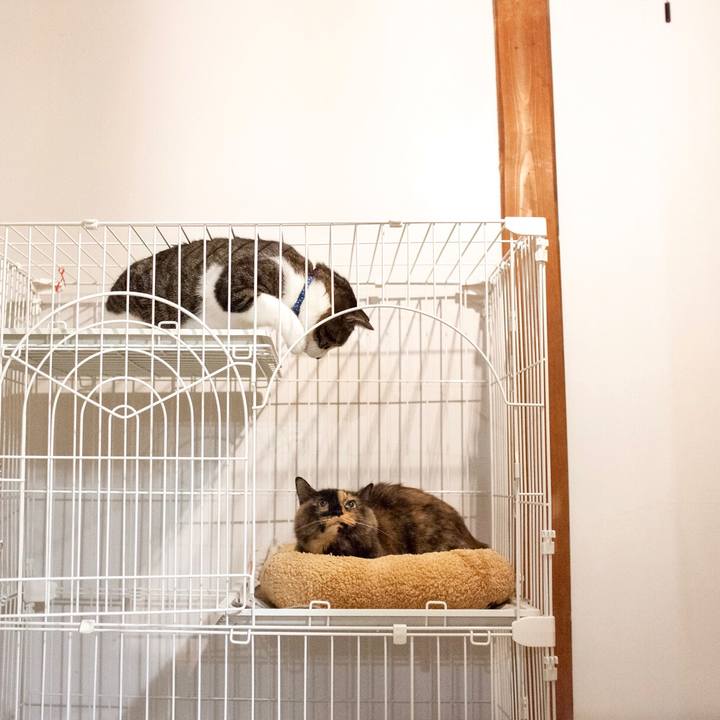 Dc902fc0 66f1 42d8 8b7a e0ab03af4377 1578053282163