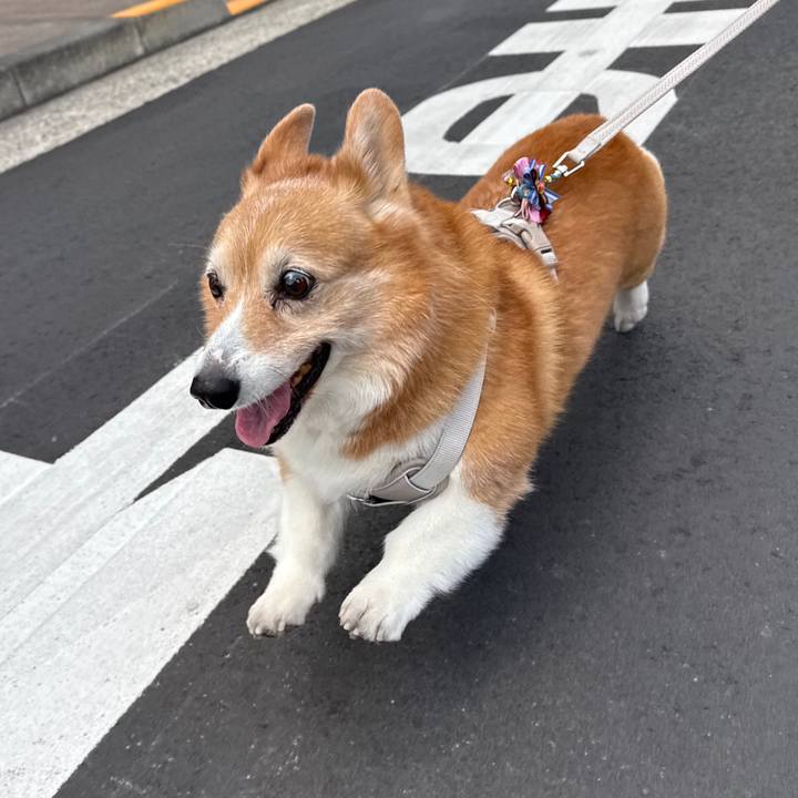 Dc906501 064e 4bd9 9ca1 d267d5ff9fb2 1769239330369