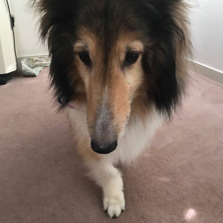 Dc9074b8 b6bd 4023 9082 acb9bcee5069 1533352848711