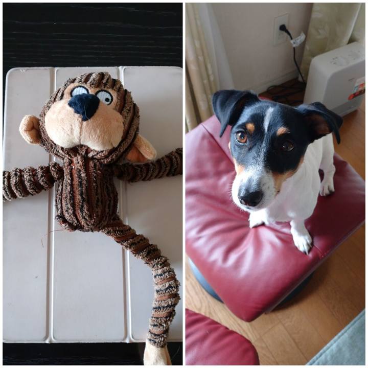 Dc911f81 3acc 42a8 bbed 86a455f7af98 1605161027224