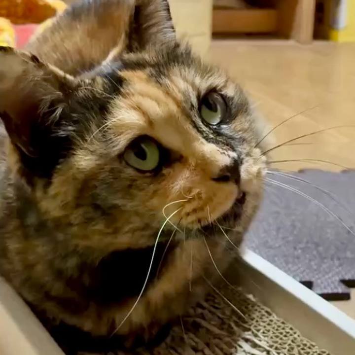 Dc912c6f 3b1d 4c58 9ffa 8572ac7aab17 1762546483475