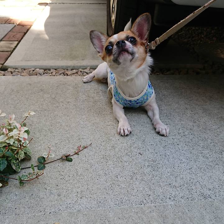 Dc91381d aa9e 4950 a060 29cb4c497273 1538902817110